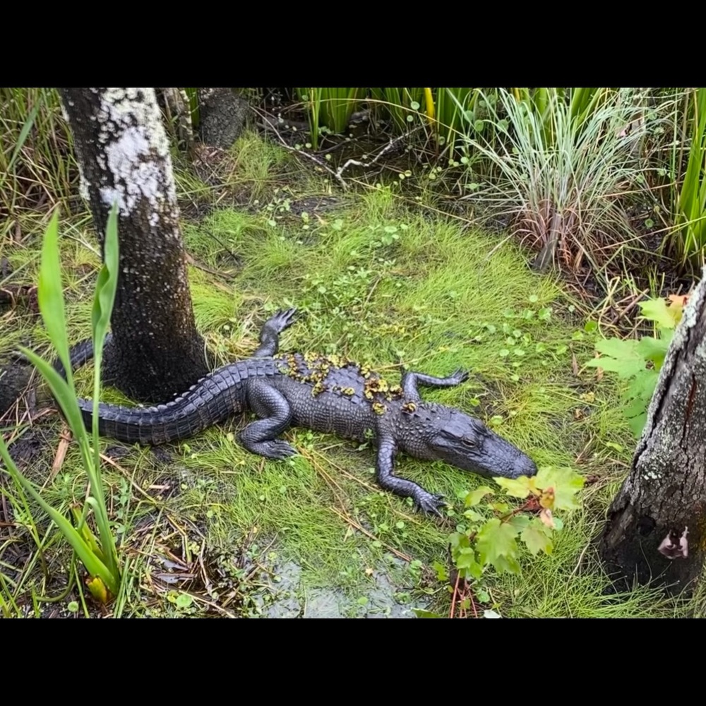 Meet your Posher, Wendy